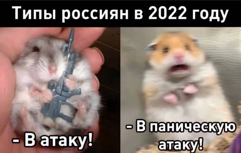 Панические инвестиционные атаки