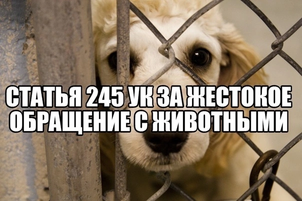 Мокрый асфальт