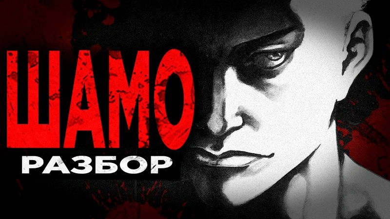 ШАМО: разбор