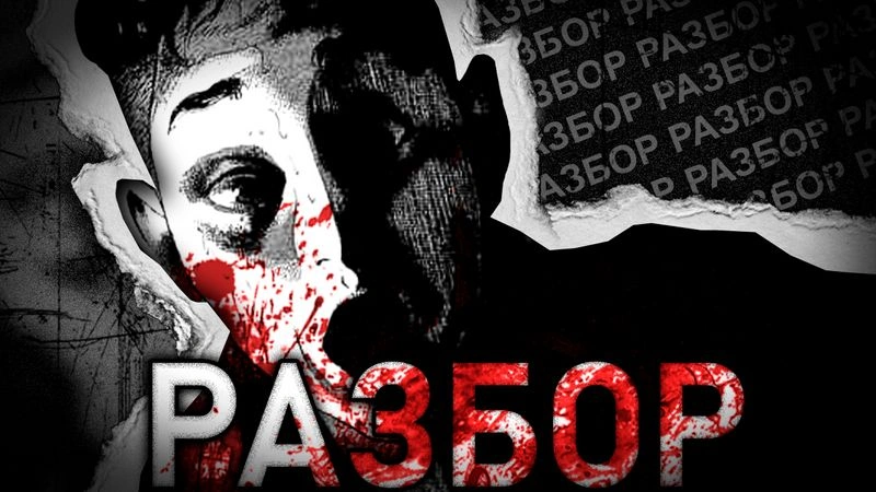 ЭТО СДЕЛАЛИ МЫ: РАЗБОР