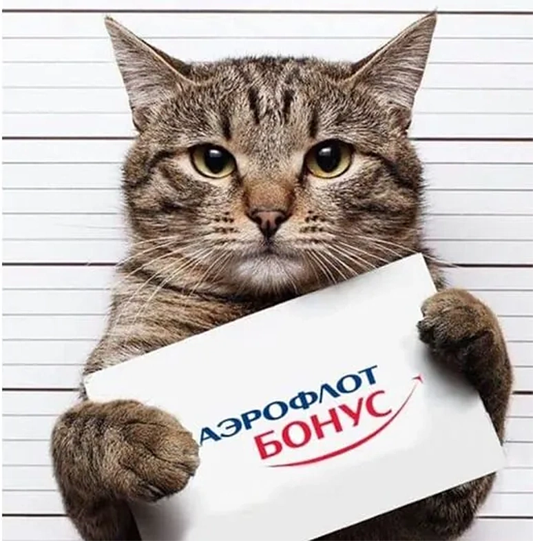 Дивиденды, часть 13. Аэрофлот