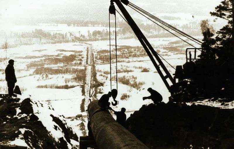 Дивиденды, часть 51. Транснефть