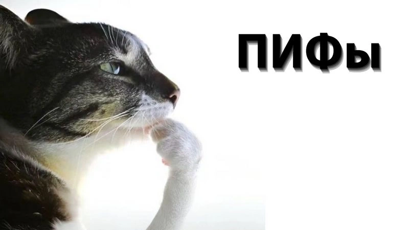 ПИФ-world