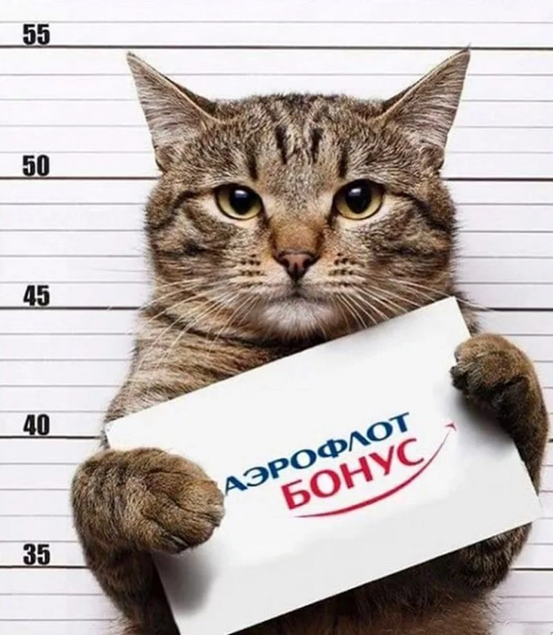 Аэрофлот. Итоги 2025. Анализ акций и облигаций