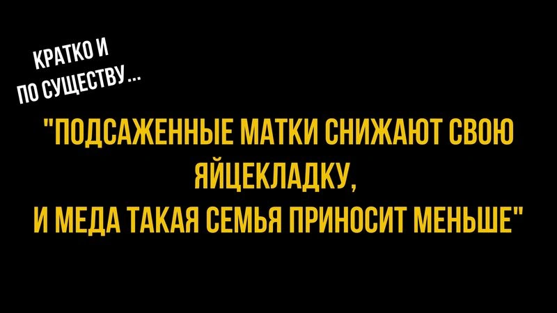Вопрос/ответ — «Подсаженные матки снижают свою яйцекладку, и меда такая семья приносит меньше», — передача из программы «Спроси Калёнова».