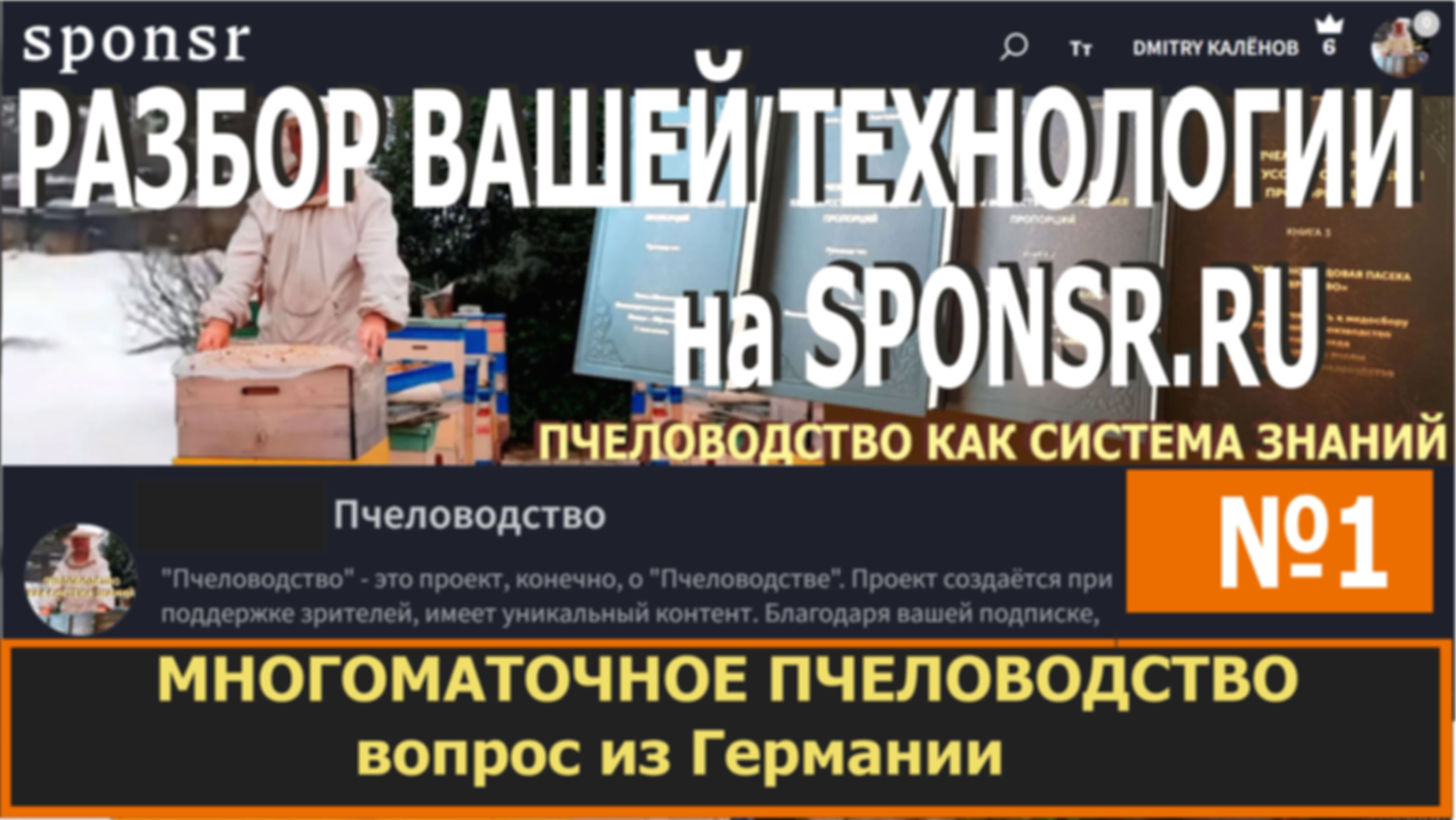preview_image