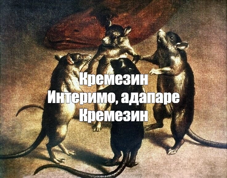 Кремень и уголь. Сорбенты и ХБП