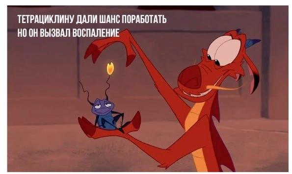 Антибиотики и почки, снова продолжение