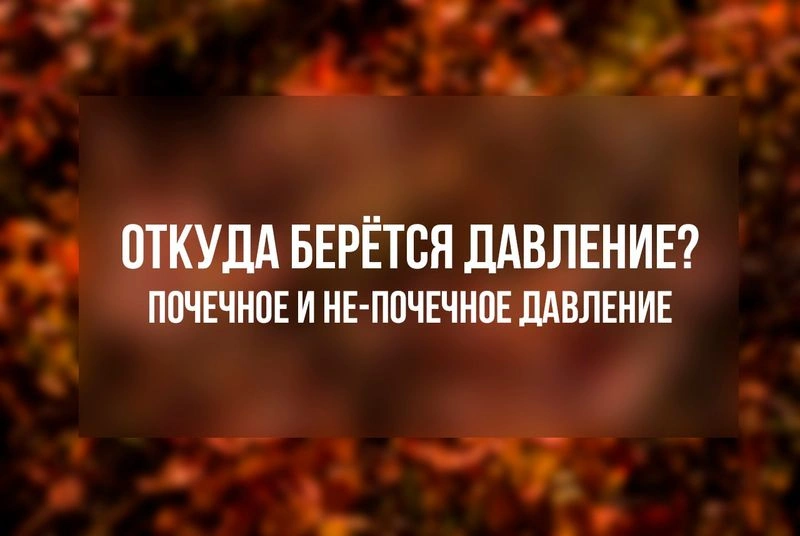 Откуда берётся давление? Почечное и не-почечное давление