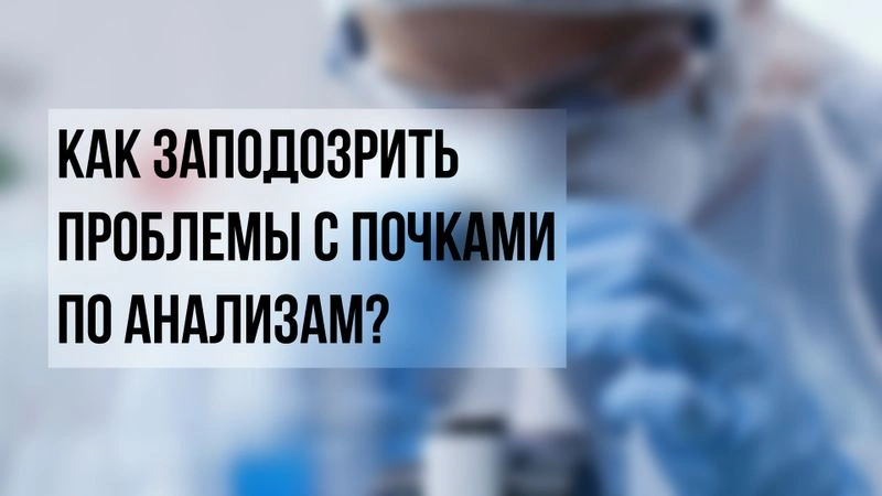 Как заподозрить проблемы с почками по анализам?
