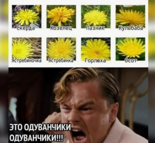Про калий. И в растениях тоже