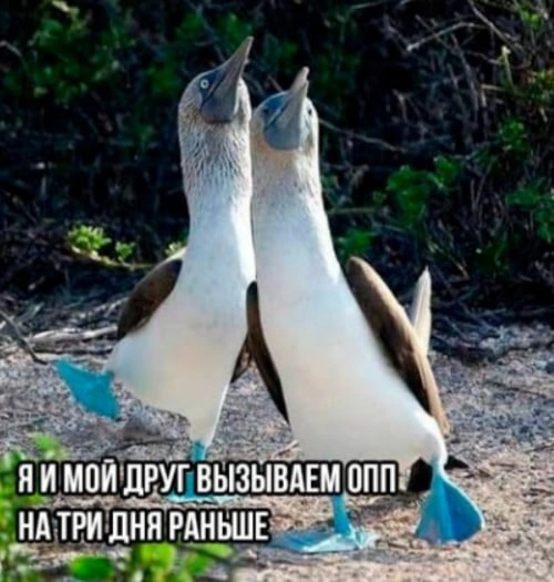 Антибиотики и почки, продолжение