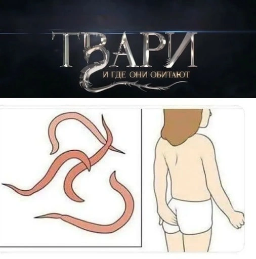 Антипаразитарное