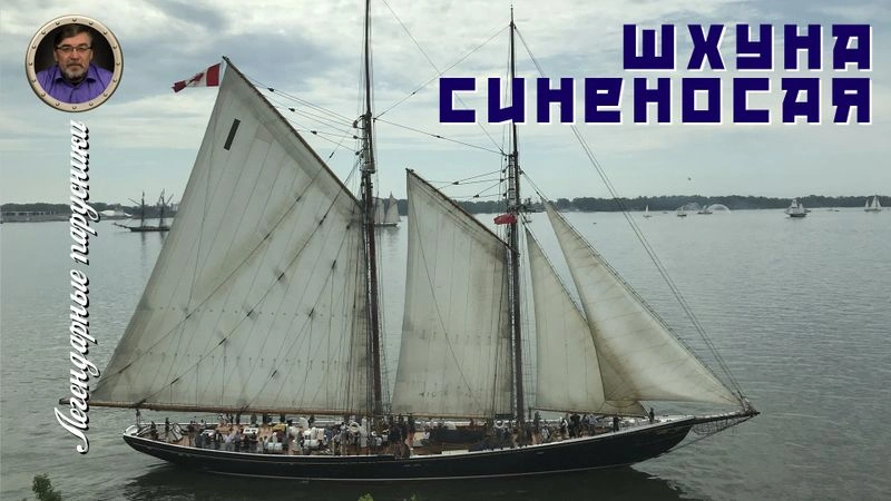 Легендарные парусники. #12. Шхуна «Синеносая»