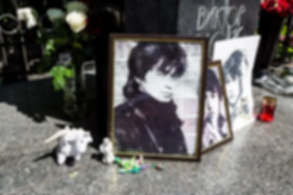 preview_image