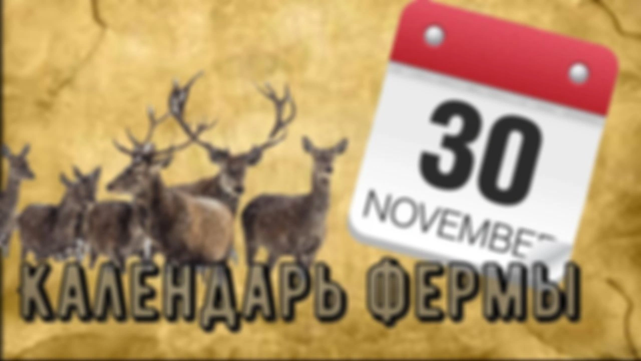 Оленья ферма. Календарь