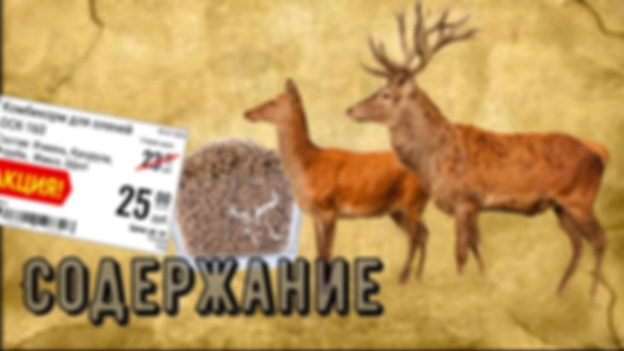 Оленья ферма. Расходы на содержание