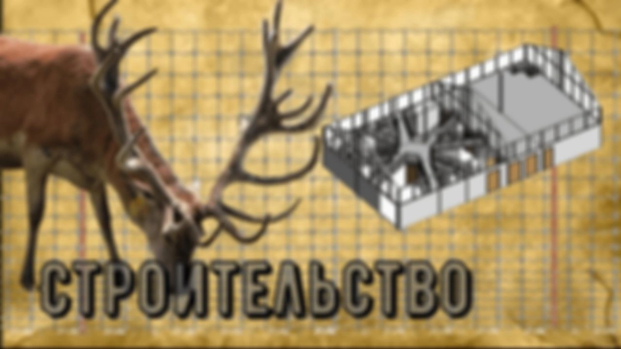 Оленья ферма. Строительство