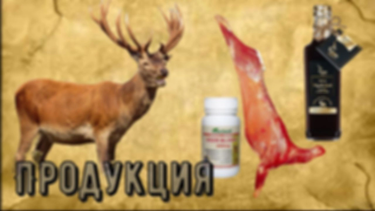 Оленья ферма. Продукция оленеводства