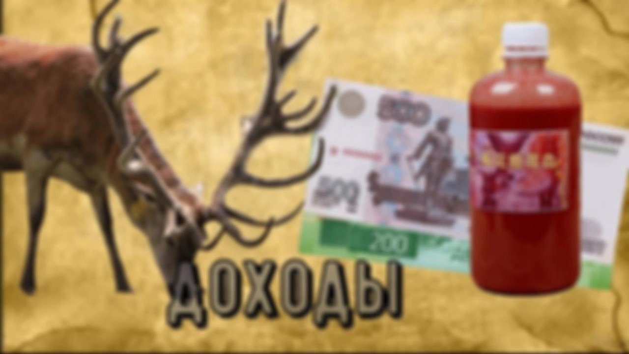 Оленья ферма. Доходная часть