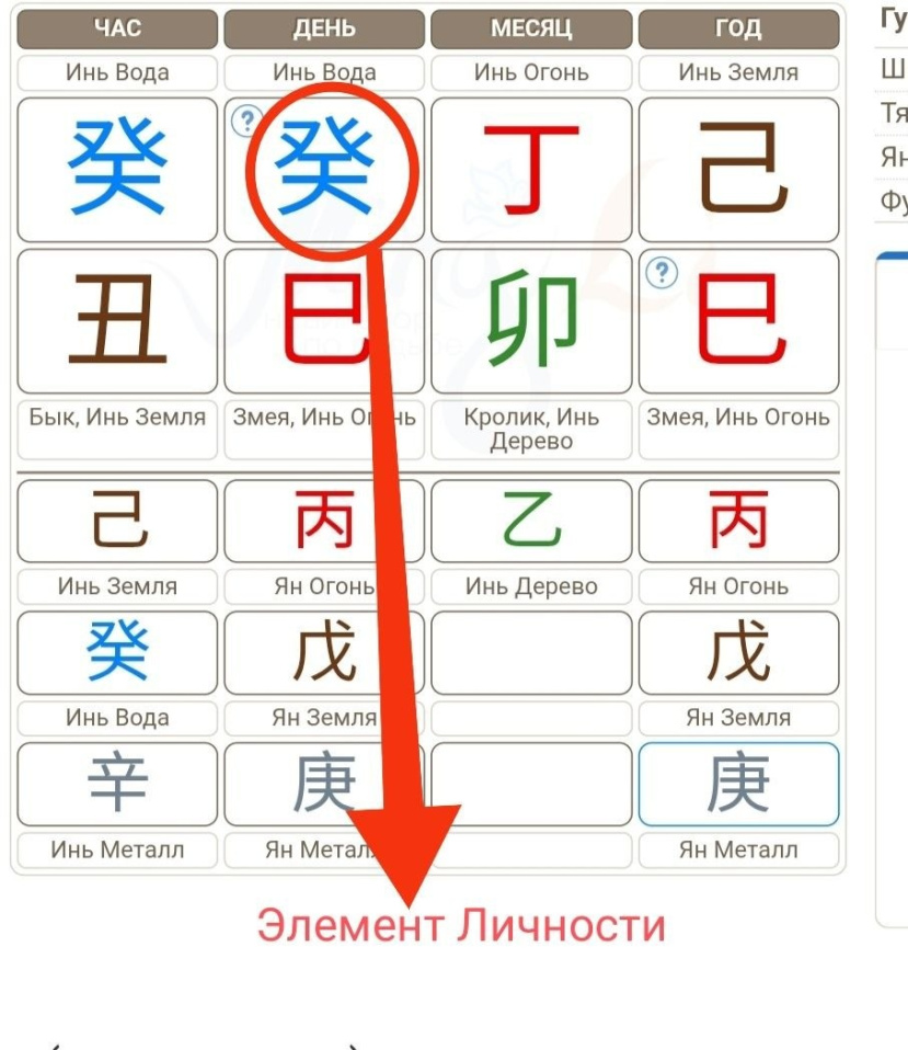 10 Элементов Личности в месяц Деревянной Лошади. 5.06-7.07.2026