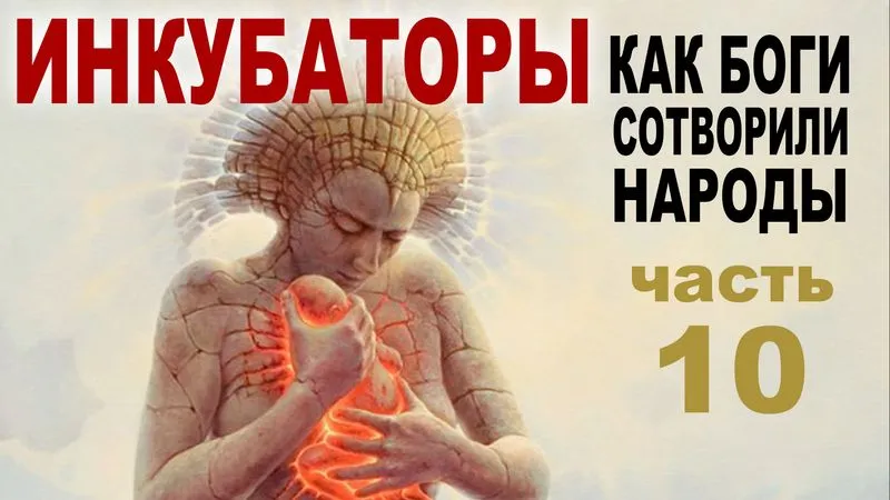 ИНКУБАТОРЫ  часть 10