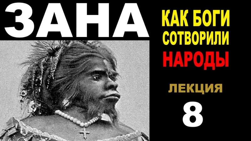ЗАНА. Часть 8