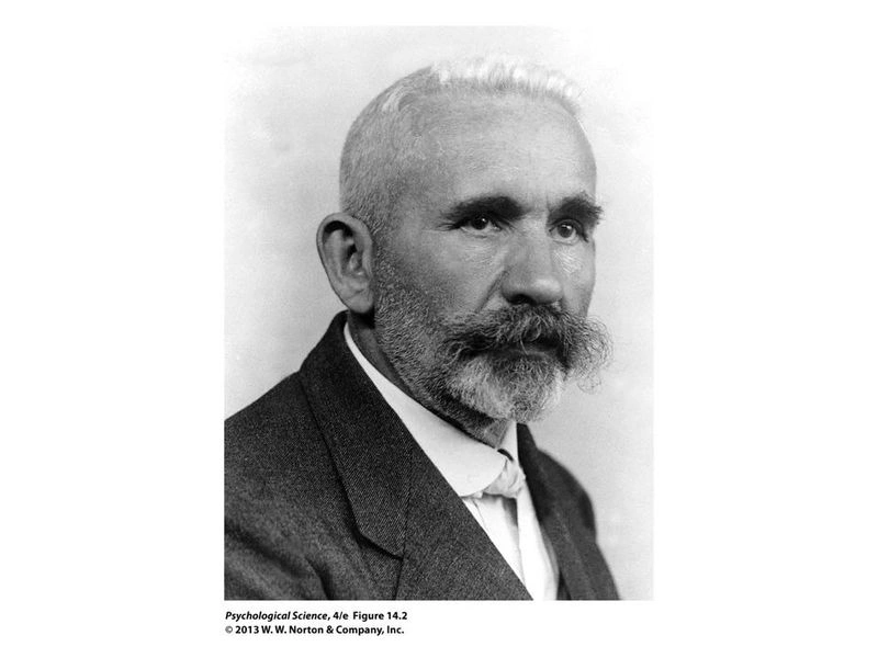 Психопаты: рождение диагноза, часть десятая