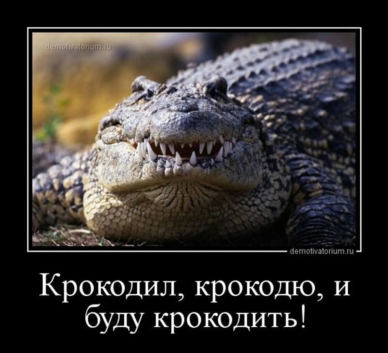 Психопаты: как нам померить нашего крокодила, или о классификациях