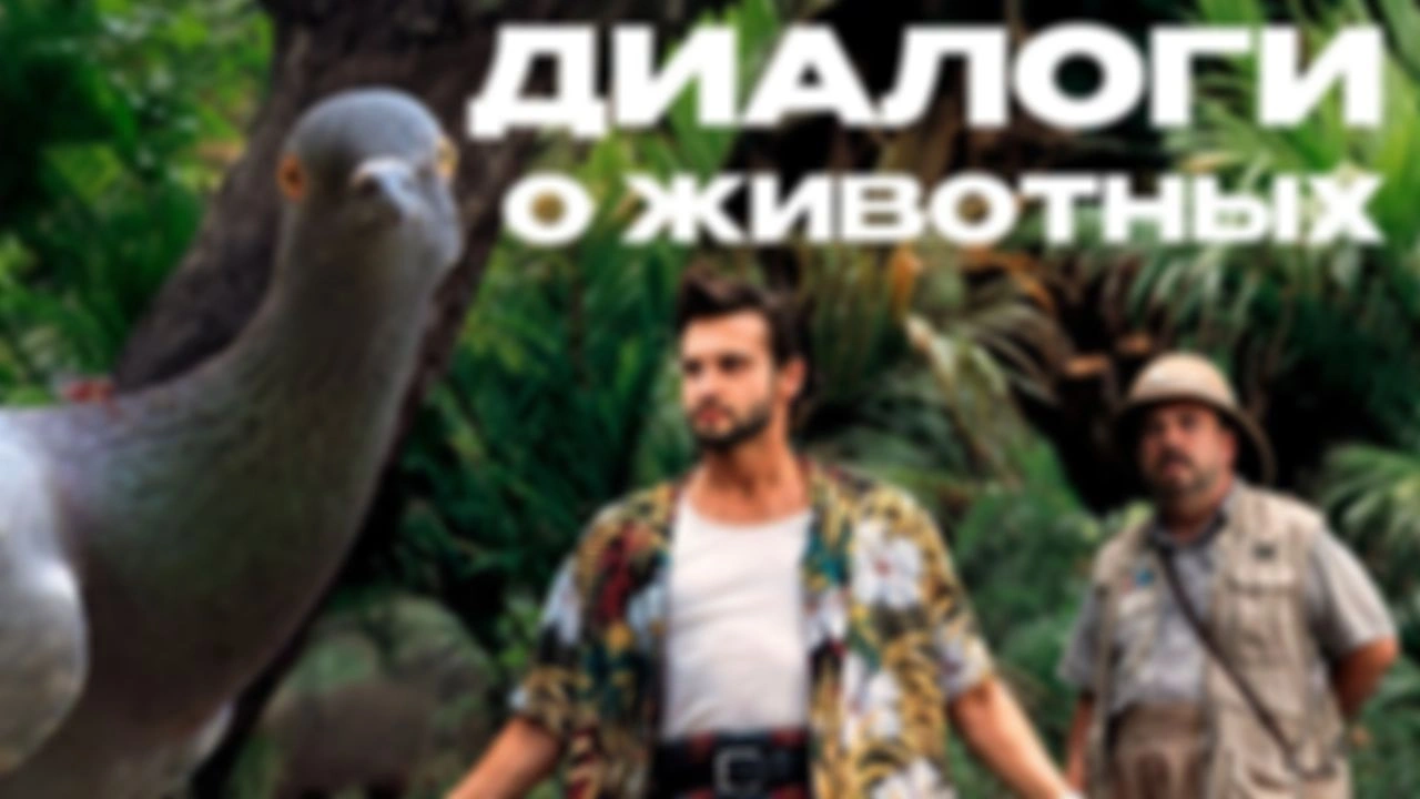 Илья Гомыранов о жизни во всём её биоразнообразии | Офисный Платон