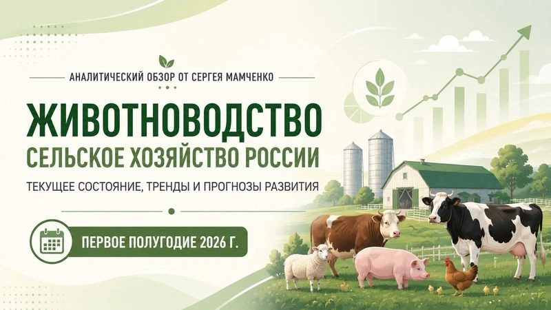 Отраслевой обзор от Сергея Мамченко. Сельское хозяйство. Животноводство (первое полугодие 2026 г.)