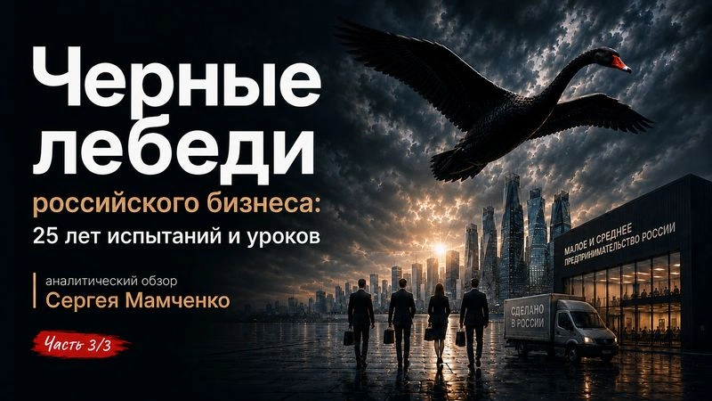 Аналитическое исследование Сергея Мамченко. Черные лебеди российского бизнеса: 25 лет испытаний и уроков (часть 3/3)