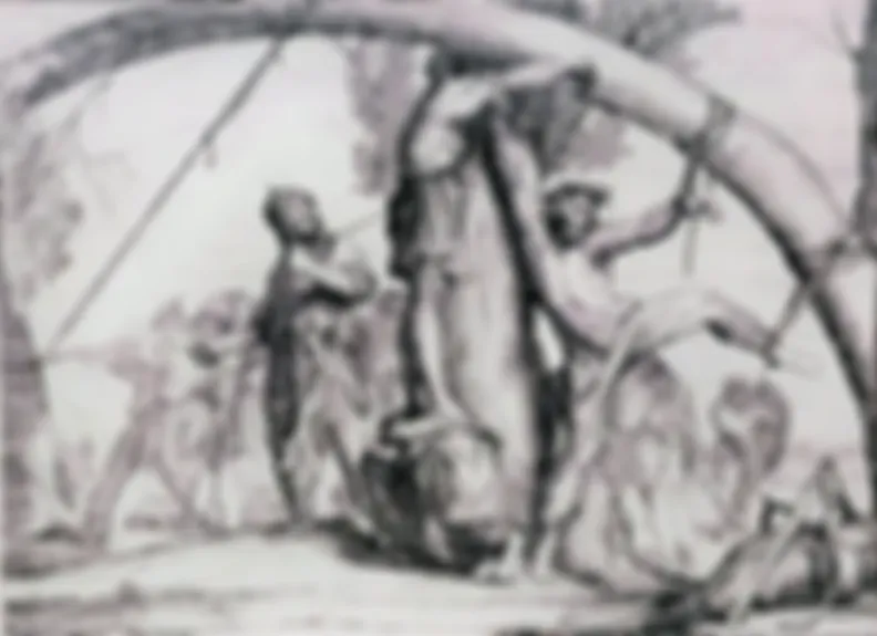 preview_image
