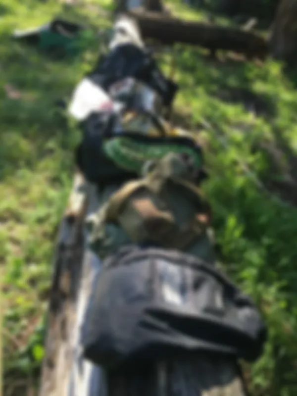 preview_image