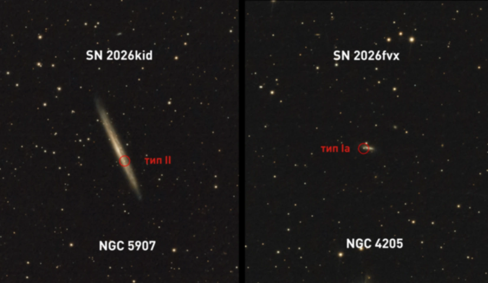 Фотографии двух разных сверхновых в галактиках NGC 5907 и NGC 4205