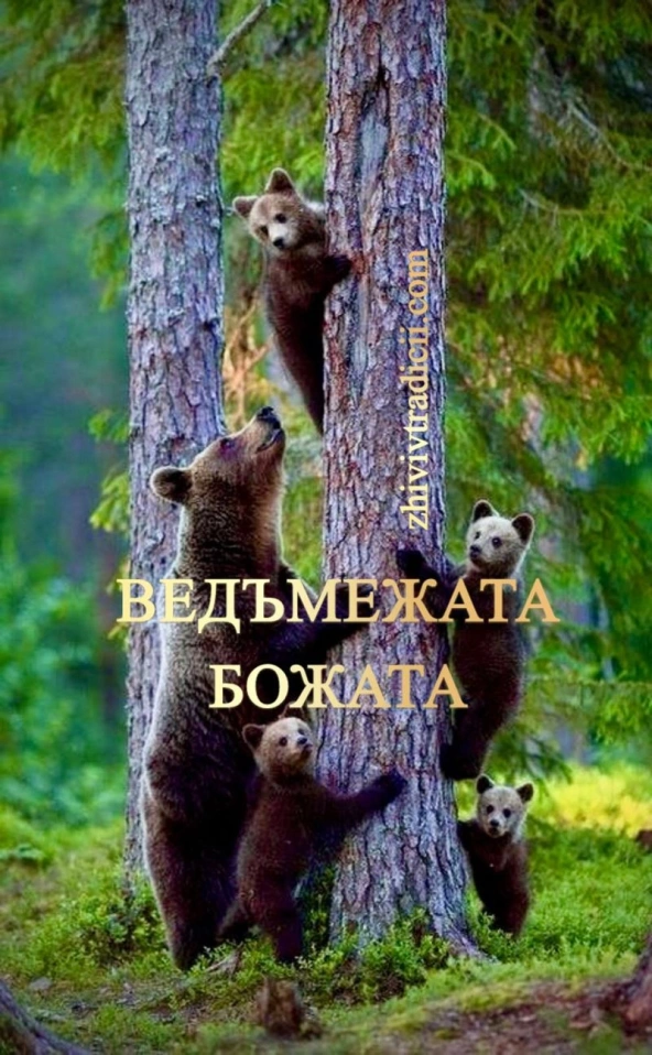 ДОСТУП В ЗАКРЫТЫЙ КАНАЛ ДЛЯ ТЕХ, КТО ЖИВЁТ САМОСОВЕРШЕНСТВОВАНИЕМ И НАХОДИТСЯ В ПОИСКАХ ЗНАНИЙ ДЛЯ УПРОЩЕНИЯ И УСОВЕРШЕНСТВОВАНИЯ СВОЕЙ ЖИЗНИ, НО НЕ МОЖЕТ НАЙТИ. ЗНАНИЯ ПЕРЕДАЮТСЯ ТОЛЬКО ИЗ УСТ В УСТА — ВСЁ ОСТАЛЬНОЕ ИНФОРМАЦИЯ И К ЗНАНИЯМ НЕ ИМЕЕТ ОТНОШЕН