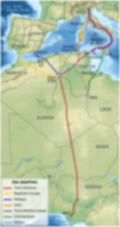 «Эмиссия догадок», La Triple Frontera,  Сьюдад-дель-Эсте и латиноамериканский блок большой модели