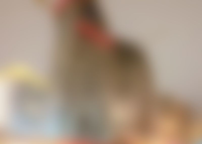 preview_image