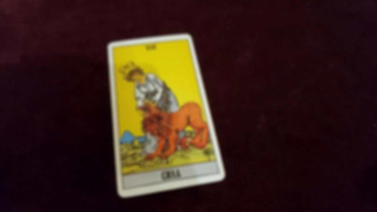 VIII Сила