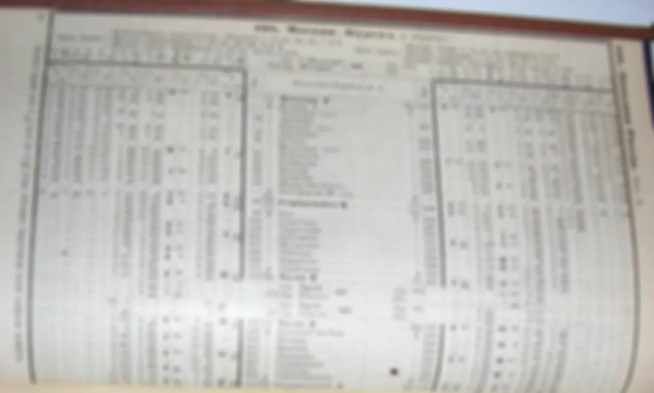preview_image