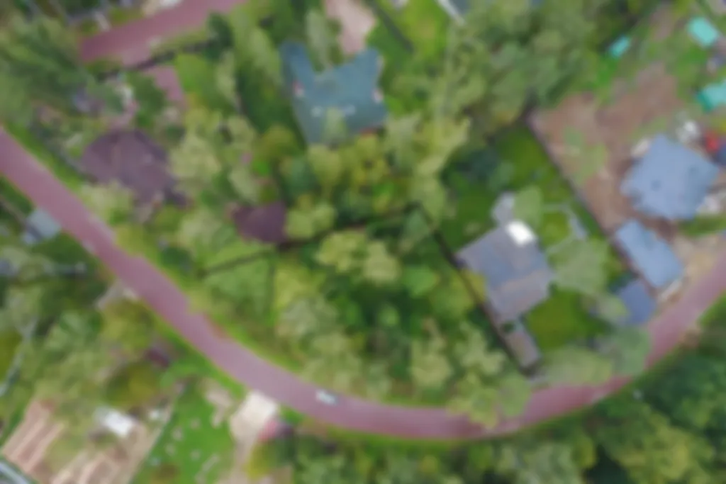 preview_image