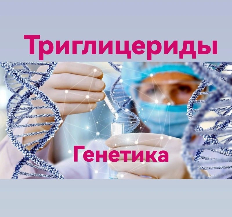 Триглицериды. Генетика