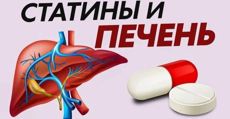 Статины и печень
