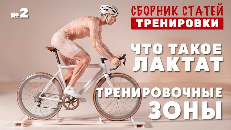 Тренировочные зоны. Что такое лактат? Сборник статей № 2