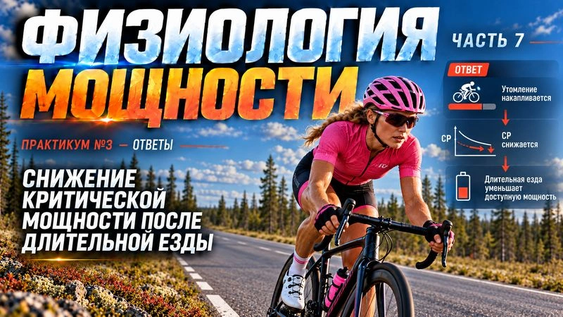Физиология мощности. Практикум № 3. Ответы. Ч. 7