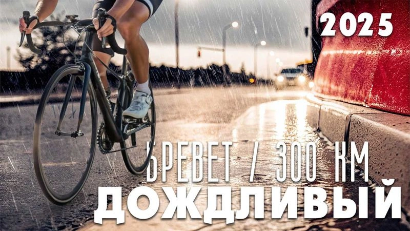 Бревет «Дождливый». 300 км. 2025 год