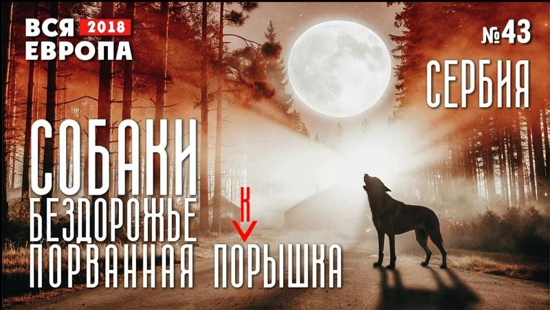 Собаки. Бездорожье. Порванная покрышка. Сербия. Вся Европа № 43