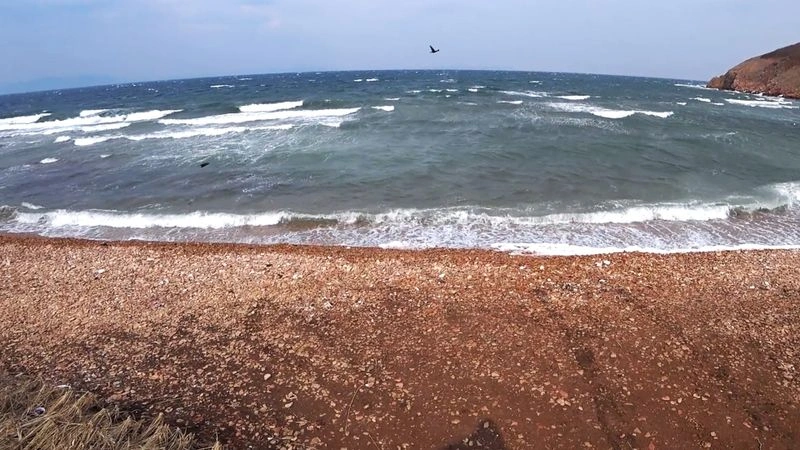 НЕСКОЛЬКО ЗАПЛЫВОВ В СУРОВЫХ ХОЛОДНЫХ ВОДАХ