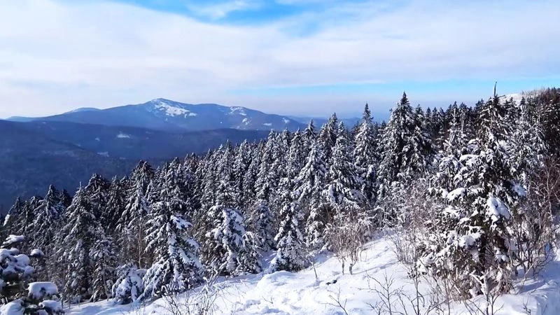 ПОХОД В ГОРЫ ПОШЁЛ НЕ ПО ПЛАНУ