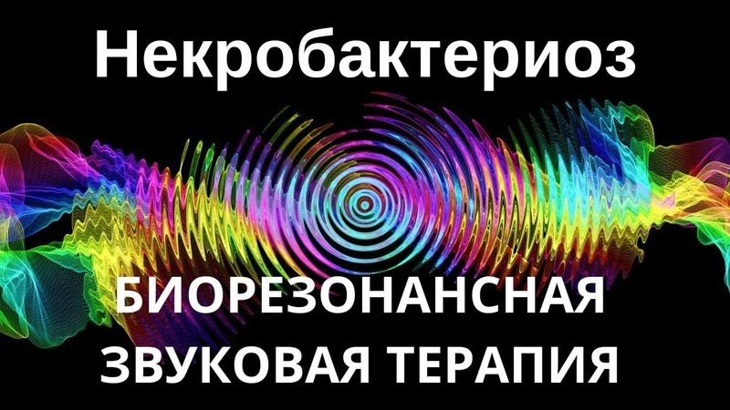 Некробактериоз _ Сеанс звукотерапии _ Звуки природы